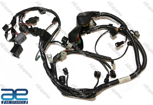 Harnais De Câblage Principal OEM POLARIS PIM Pour E-bike - Moteur Et Affichage