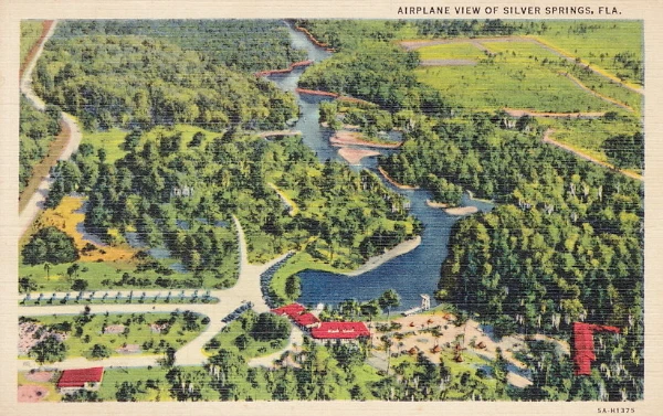 Airplane View Silver Springs Florida - Linen Postcard
