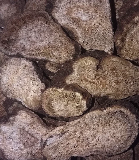Costus Root - Hierba Seca Incienso Kuth - Saussurea costus CHOOSE 0.5 - 4 oz