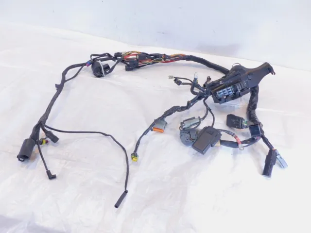 2008 Harley Sportster 883 1200 Main Wiring Harness Assembly w/ Ignition & Key