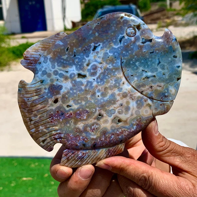 331G Amazing Natural Ocean Jasper Crystal Carved Fish Jasper Halo Stone