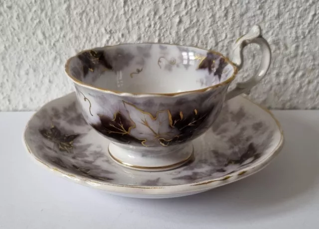 sehr schöne Villeroy & Boch BRYONIA Tasse mit Unterteller - Steingut 19.Jh - 1