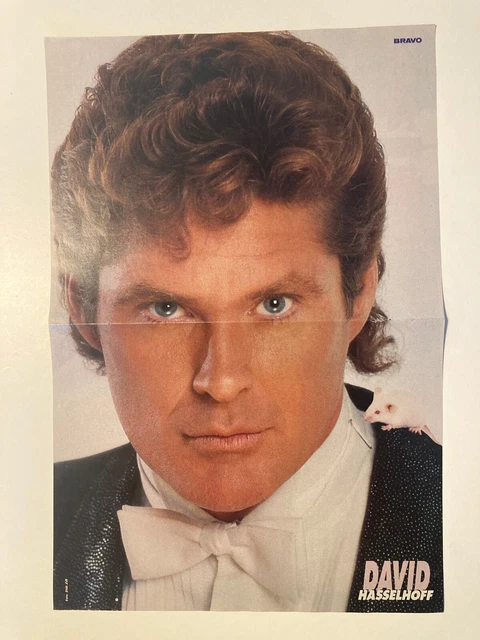 DAVID HASSELHOFF - KNIGHT RIDER - NEW 24x36 POSTER