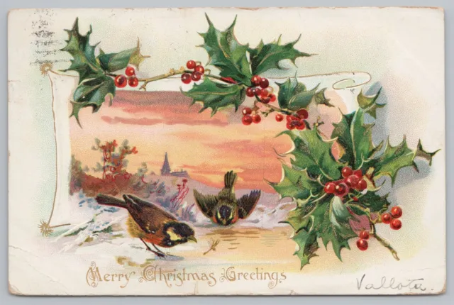 Holiday~Merry Christmas Greetings~Birds & Berries~1906~Tuck Holly Series Vtg PC