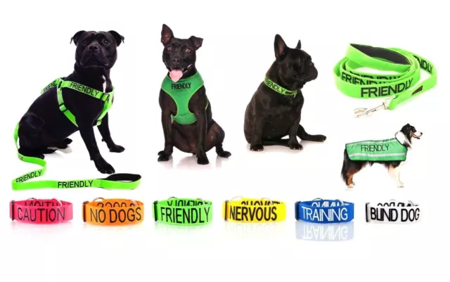 Warning Dog Colour Coded Collar Lead Leash Harness Friendly Blind Sizes & Styles