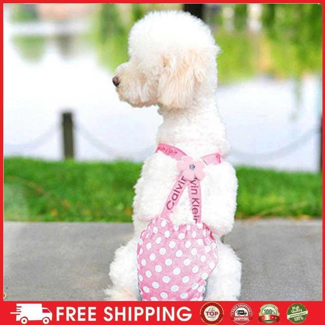 SOBW pañales para perro, pañales para perros, correa linda pantalones fisiológicos casa