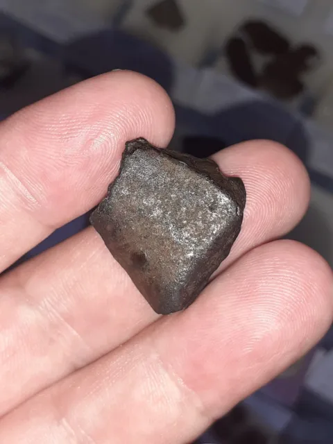 CHELYABINSK meteorite, chondrite LL5. Complete piece 7.71 grams.