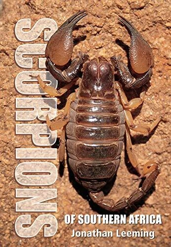 Scorpions of South Africa.by Leeming  New 9781775846529 Fast Free Shipping**
