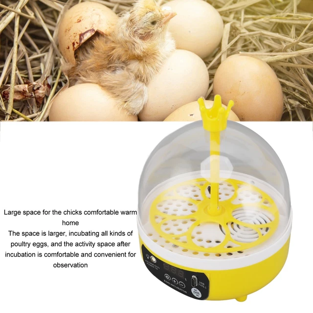 MINI EGG INCUBATOR For Home Automatic Temperature Humidity Eggs £22.85 ...