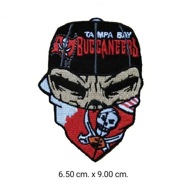 TAMPA BAY BUCCANEERS NFL 2pcs /set logo for patch iron ,sewing on
