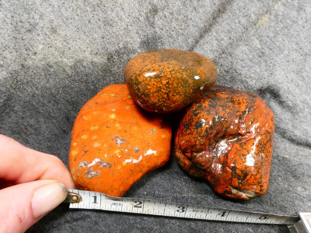 olympic peninsula poppy jasper 2 lbs