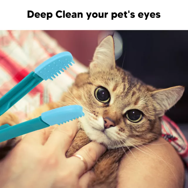Pets Eye Cleaning Comb Brush Professional Tear Stain Remover Pet Grooming à Qcs 2