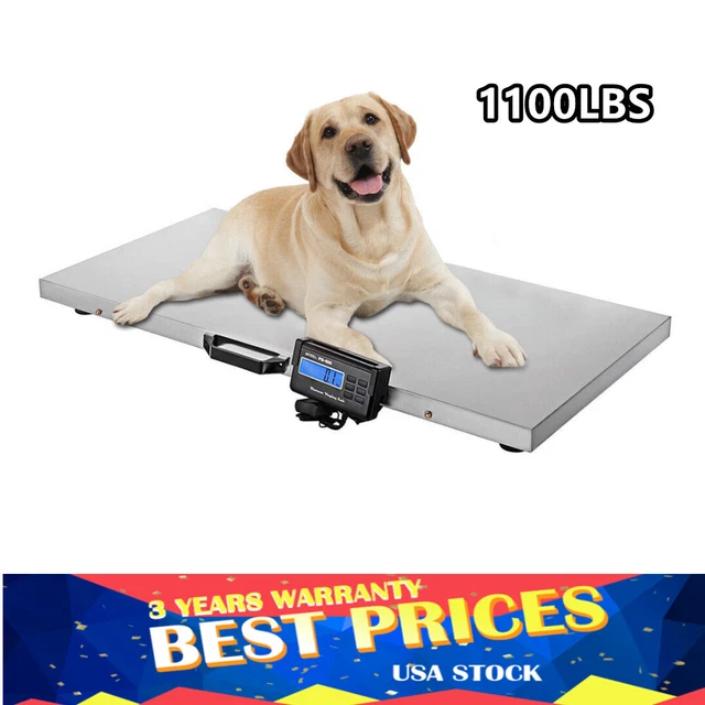 1100 Lbs Heavy Duty Digital Livestock Vet Scale Hog Pet Dog Sheep Goat Scale US