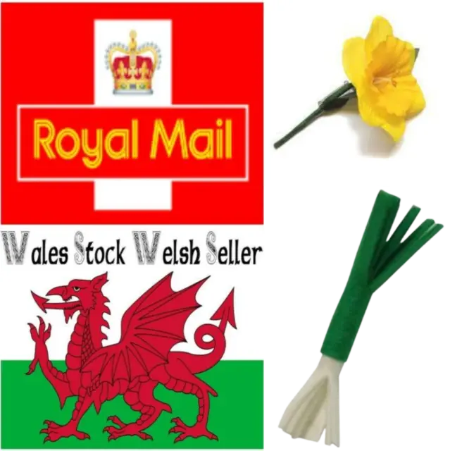 New Wales Cymru Am Byth St David's Day March 1st Daffodil or Leek Pin Badge