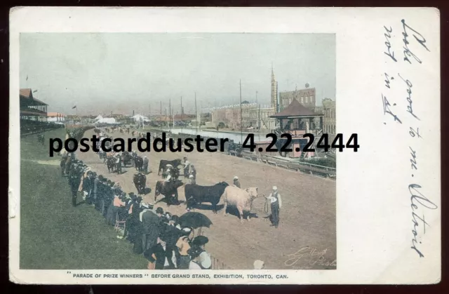 TORONTO Ontario Postcard 1900s CNE Prize Winners Parade