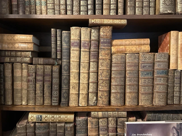 HISTOIRE DE LA gravure dans les anciens Pays-Bas - Le XVIe siècle