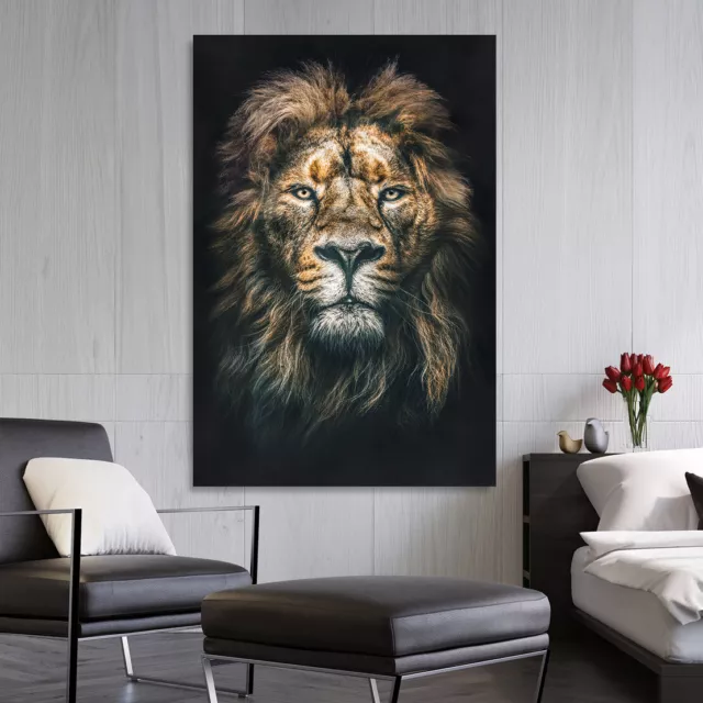 Acrylglas Wandbild Löwe Lion Abstrakt Kunstdruck Bilder Natur Deko Glasbild 2