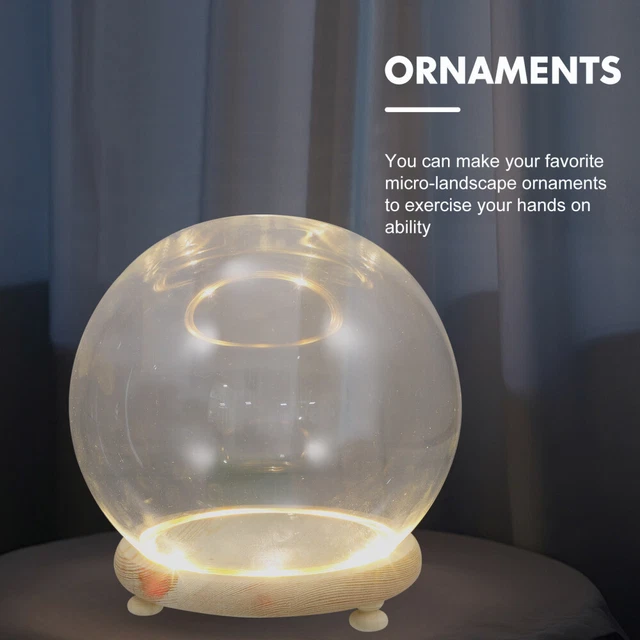 TERRARIUM DISPLAY DOME Micro Landscape Ornament Home Room Decoration £