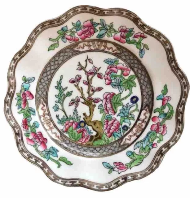 Coalport Bone China Six Scalloped Indian Tree Multicolor Dinner Plates Older Set 2