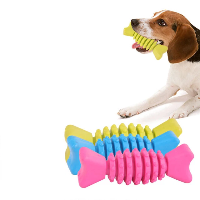 3 Stück / Packung Dog Chew Toys Beißen TPR Interessante Ausbildung Hundespielzeu 3