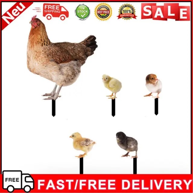 Acrylic 2D Chicken Sculpture Ornaments Double-sided Printing for Backyard Patio