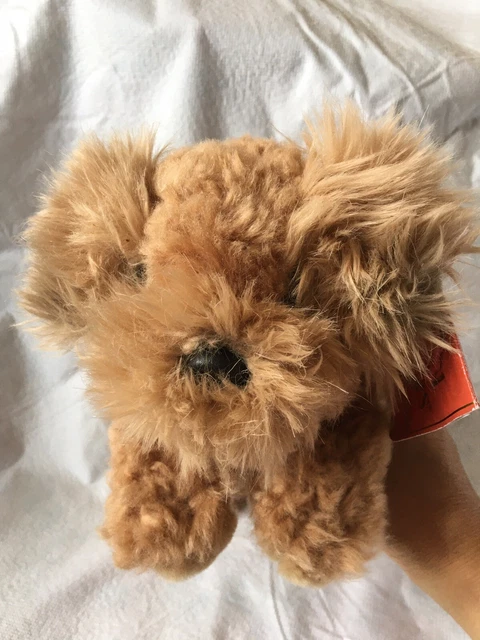 Toy wheaten terrier hotsell