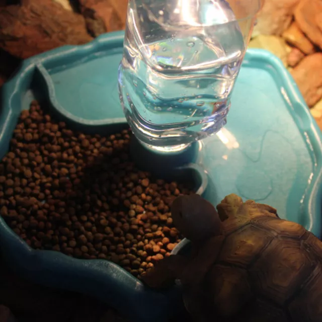 Pet Reptile 2 in 1 Automatic Water Food Feeding Plate Lizard Turtle Dispen-xd 3
