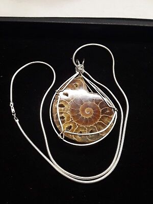 Ammonite FOSSIL Rock Art Pendant/Necklace~Sterling Silver~100 Millions Years Old