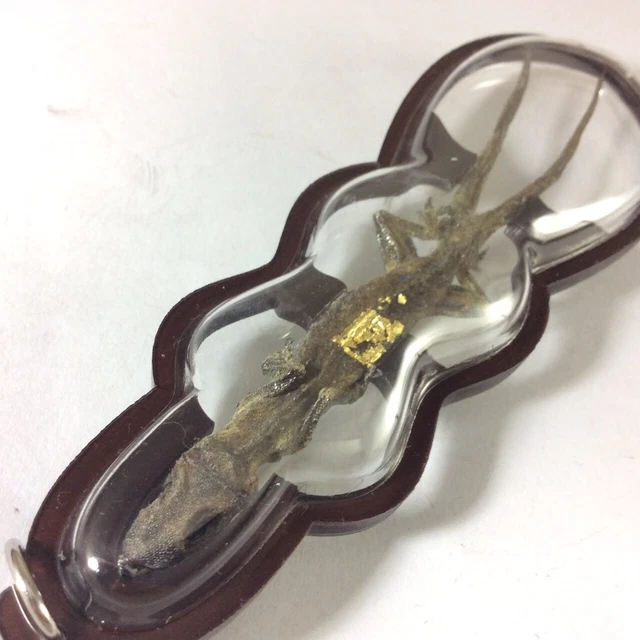 REPTILE 2 TAILS LIZARD GECKO Power Pendant Lucky Money Gamble Wealth Thai Amulet