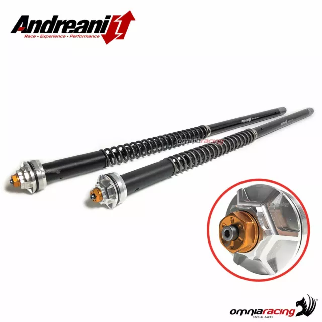 Andreani Misano Evo adjustable hydraulic cartridges for forks FASTACE 37