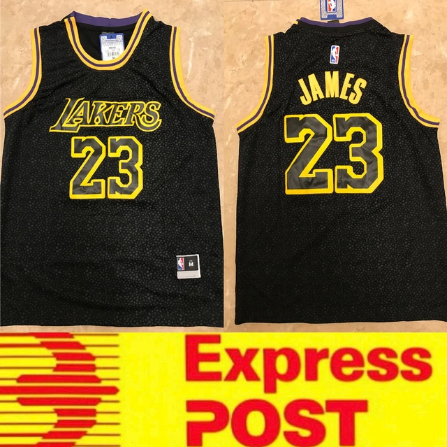 James lakers jersey sales black