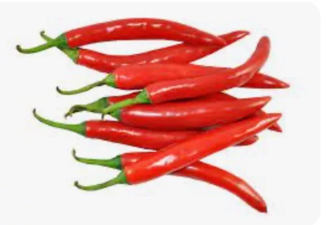 Chilli (Red Cayenne) :) 135+ Seeds (Capcicum) Instructions Included x