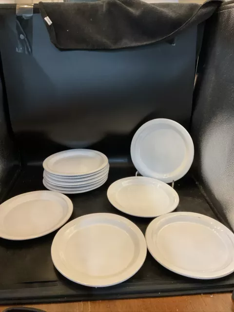 Crate And Barrel Marbury White Rustic Edge Set Of 12 Salad Plates 8 5/8 In
