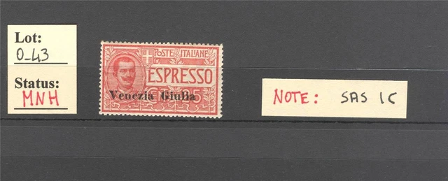 O_43 - VENEZIA GIULIA. 1919 ESPRESSO.  Rare variety !  TOP CV !