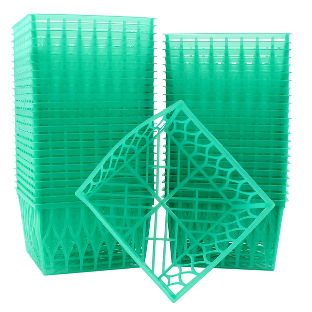 Pint Size Plastic Berry Baskets (48-Pack), 4-Inch Boxes