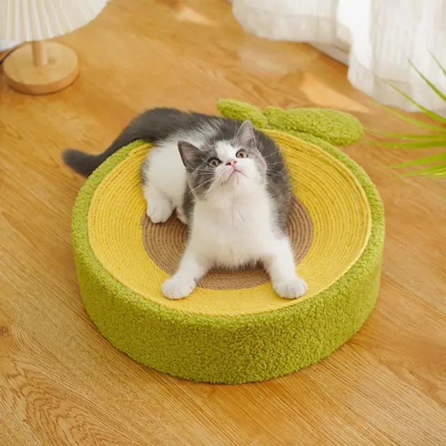 Cat Scratcher Kitty Training Toy Sleeping Nest Scratch Pad Antidérapant
