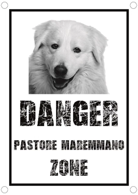 Cartello 'Attenti Al Cane' In Metallo - Targa 15x20 Cm Per Esterni, Personalizzabile - Foto 8