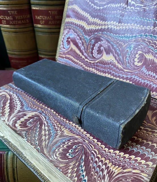 An Antique George III shagreen draughtsman’s etui case and contents