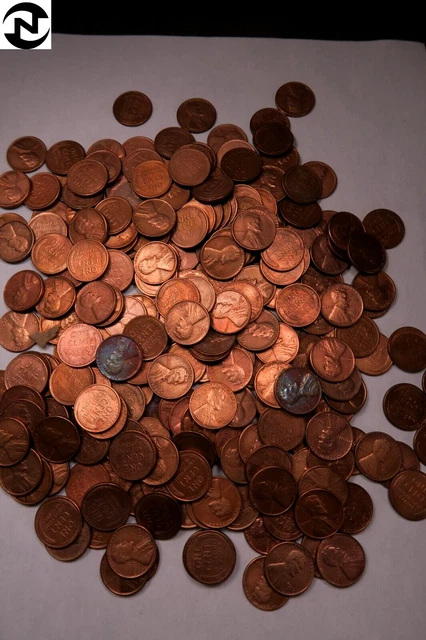 (250) 1950-D Lincoln Wheat Penny Cent Set/Lot ~ 5 Rolls -- 250 Coins ~ (WL16)