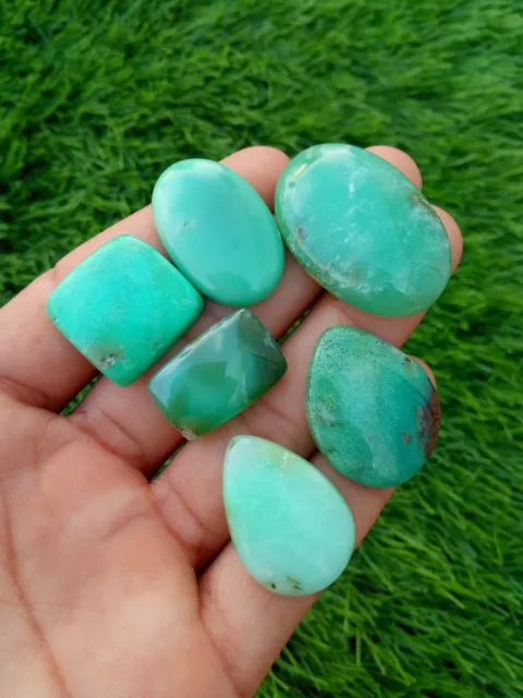 6 Pcs Best Quality Natural Chrysoprase Cabochon Loose Gemstone Lot 22-33 mm