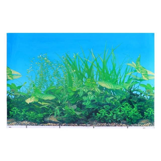 1pc Fish Tank Sticker Decal Aquarium Toile de Fond Fish Tank Toile de Fond