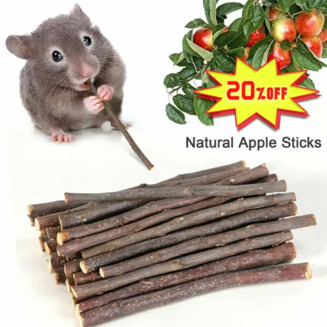 Wood Chew Sticks Twigs for Small Pets Rabbit Hamster Guinea Pig Toy UK 50g HOT