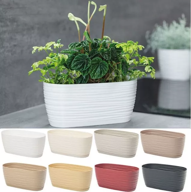 Trough Plant Pot Long Plastic Box Planter Succulent Garden Window Herb Flower