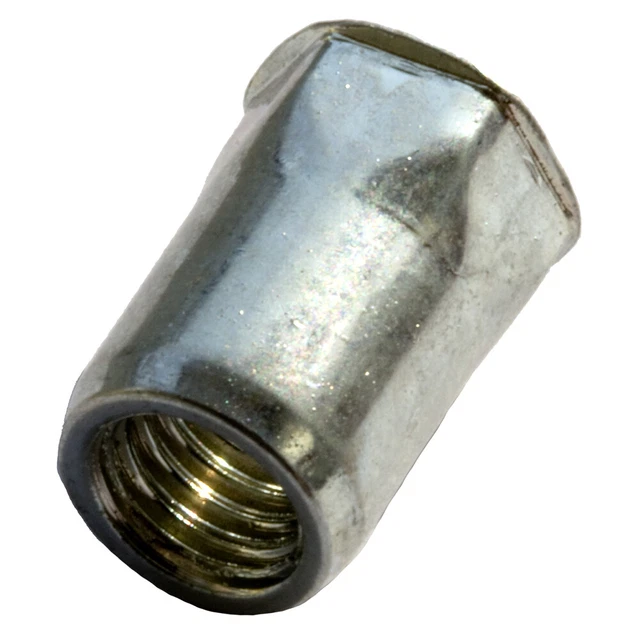 M10 250 pezzi esagono parziale dadi rivetto cieco cl. Mini SK Aperto Acciaio Inox A2