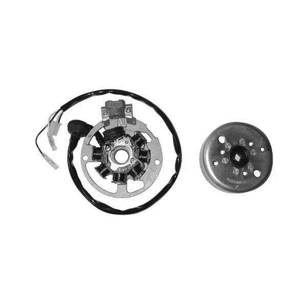 Extracteur Magnétique De Rotor/volant D'inertie Pour Moto - Compatible YBR SRZ150 Rama 125 - Alliage Acier