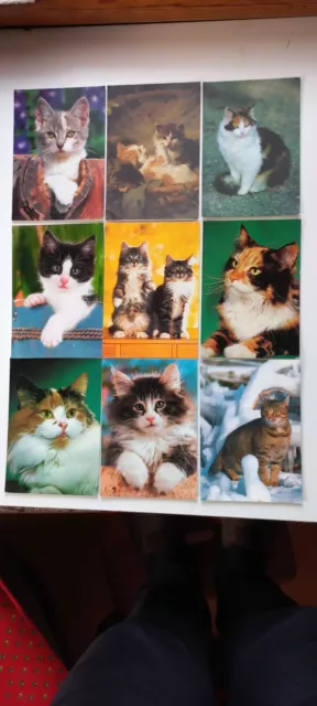 Lotto di 43 Cartoline Animali e Fiori