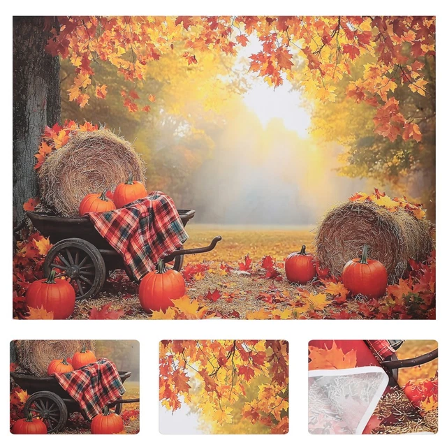 Rustic Asia REUSABLE RUSTIC FALL Backdrop Cloth with Harvest and Pumpkin Design $41 ...