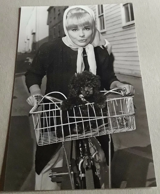 SCHAUSPIELERIN ELKE SOMMER Film-Star-Foto im Format ca. 13 x 19,5 cm ...