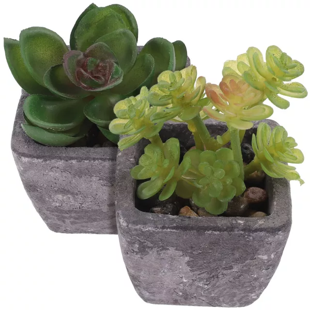 2pcs simulation décor de plante succulente fausse décoration de plantes en pot