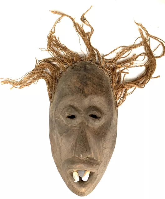Tribal Passport Mask